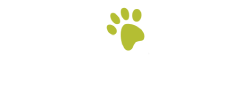 Medipet Pet Insurance Brokers