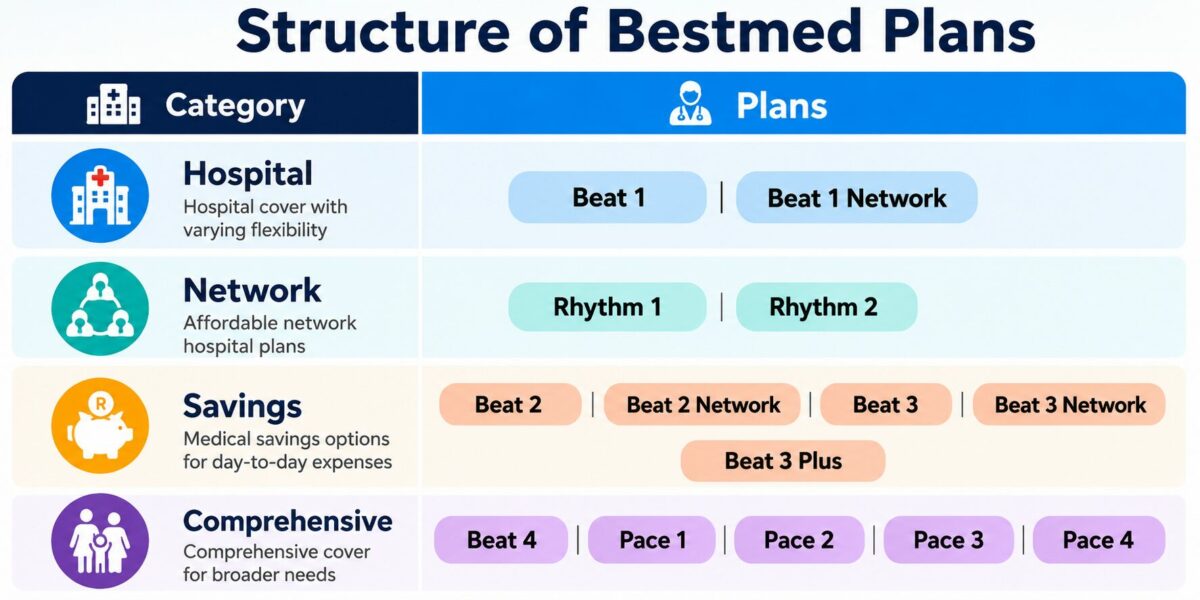 Structure of Bestmed plans infographic