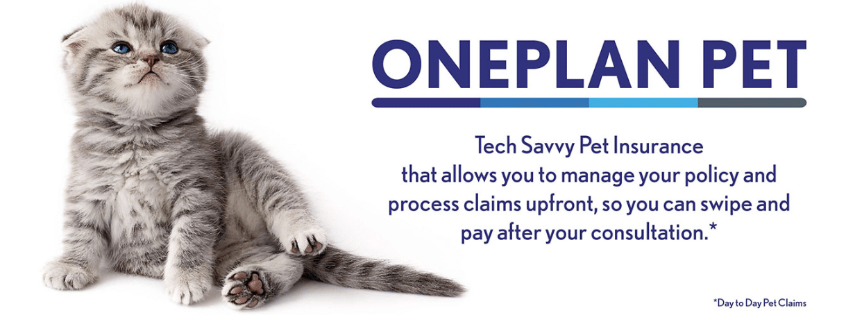 How to claim from Oneplan Pet Insurance