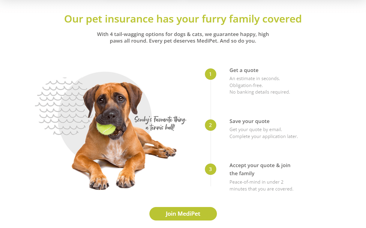 MediPet Pet Insurance Overview