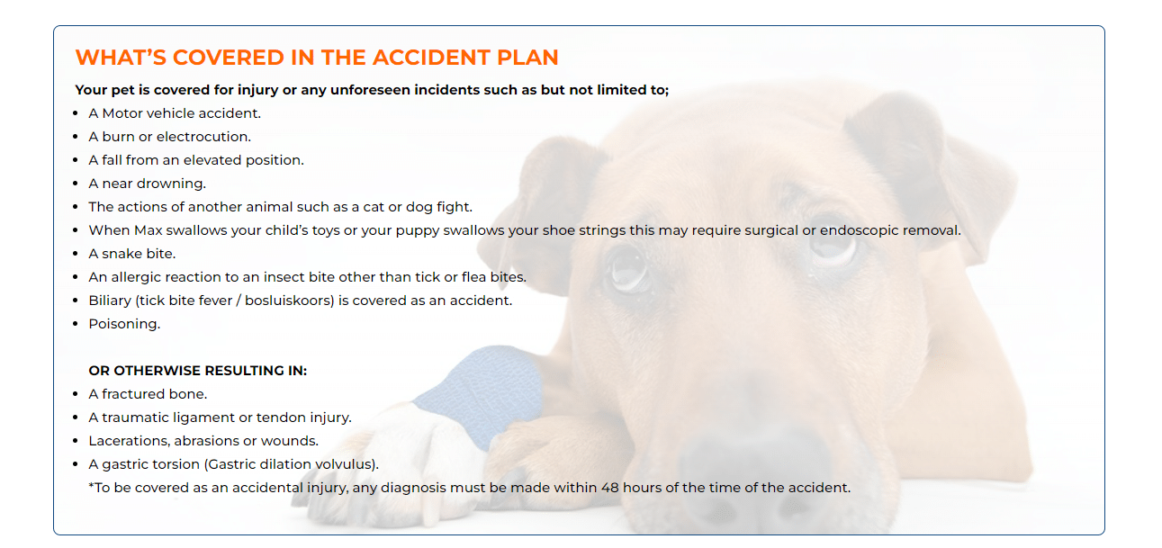 Paw Paw Accident Plan 2