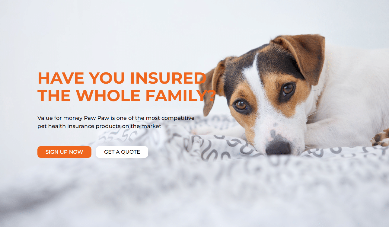 Paw Paw Pet Health Insurance