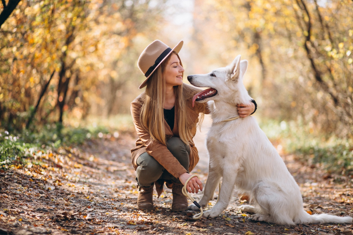 Best Pet Insurance Providers in South Africa