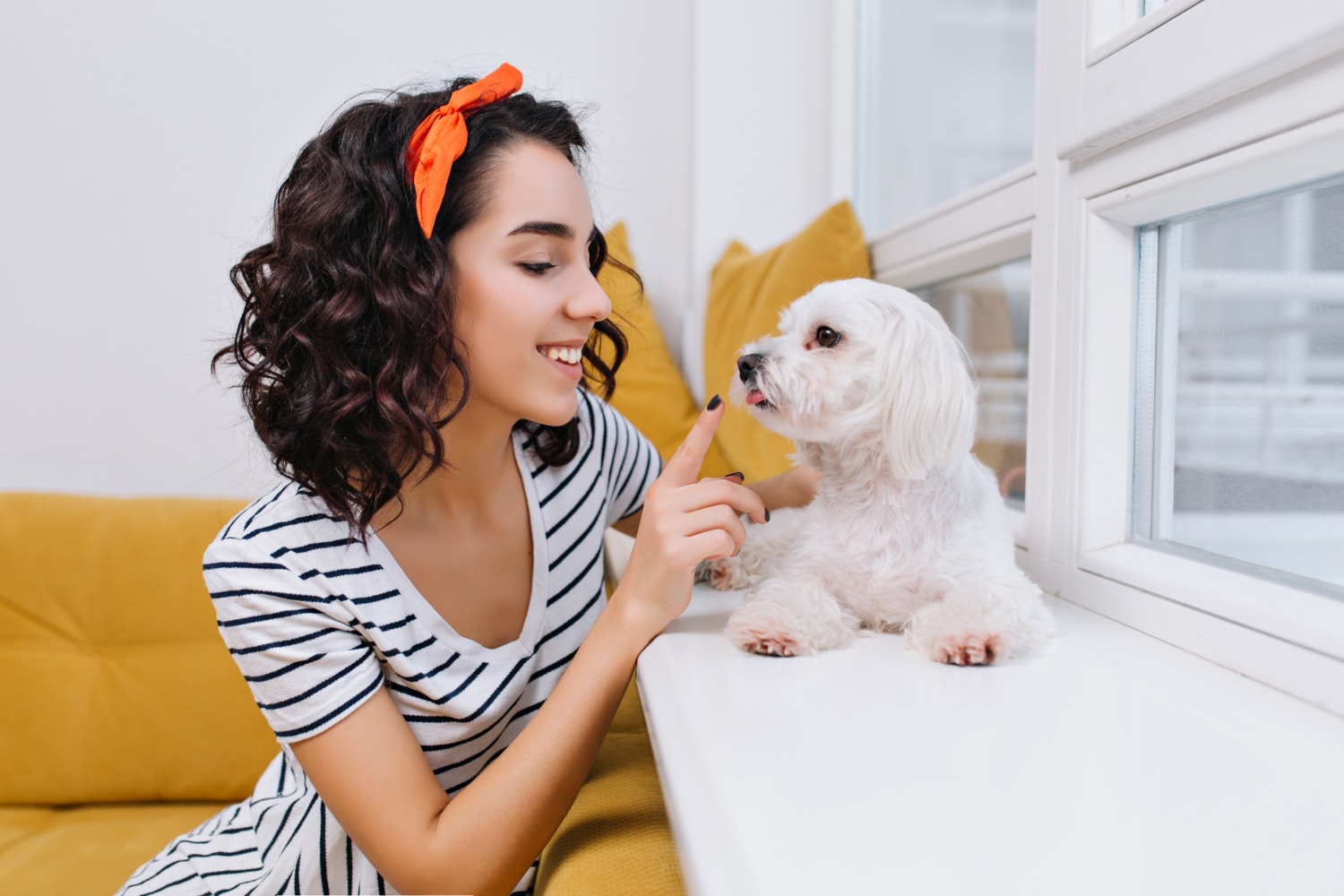 Factors to Consider When Choosing a Pet Insurance Policy