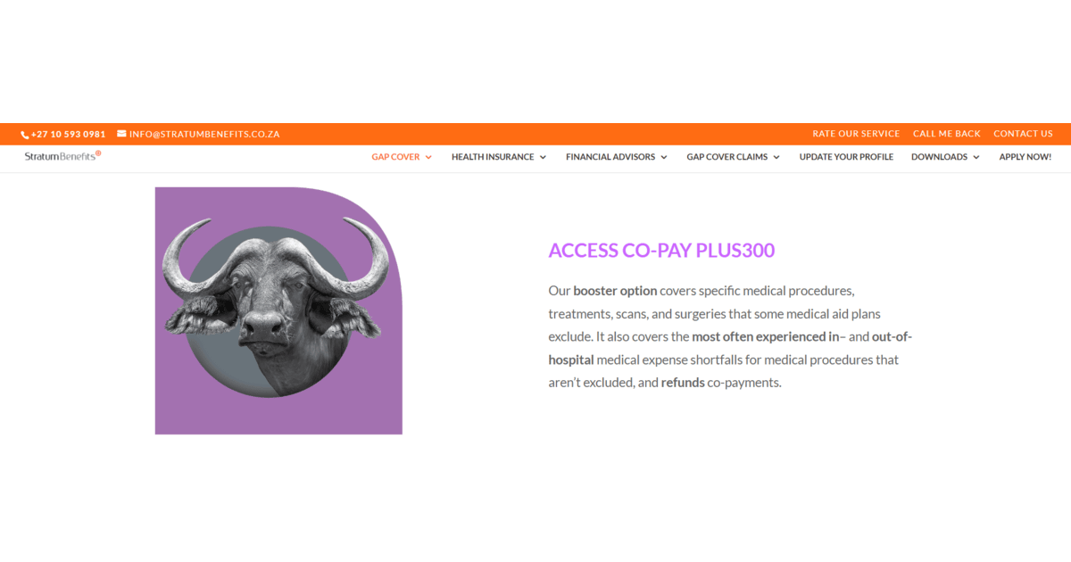 Access Co-Pay Plus Access Co-Pay Plus